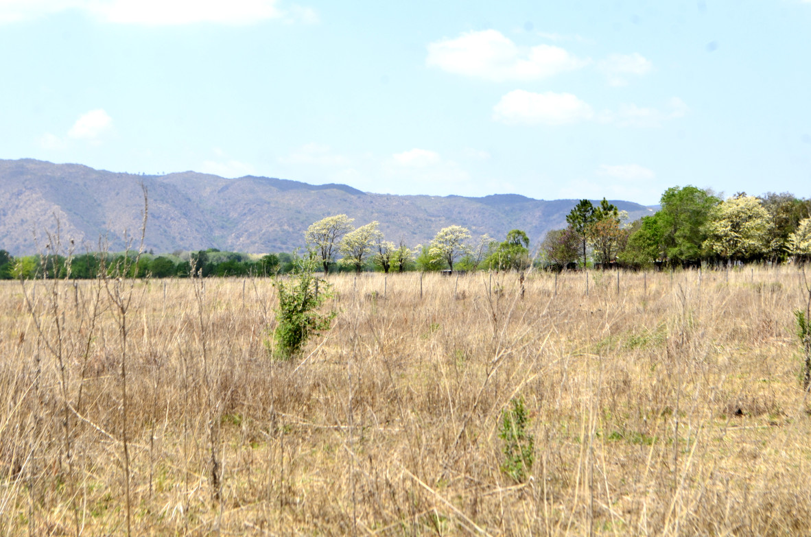 Terreno chacra con vista a las sierras en Los Reartes Cordoba para emprendimiento cerca del rio - Inmobiliarias Villa General Belgrano v17