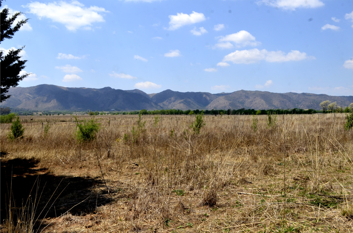 Terreno chacra con vista a las sierras en Los Reartes Cordoba para emprendimiento cerca del rio - Inmobiliarias Villa General Belgrano v5